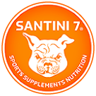 santini 7 sports logo